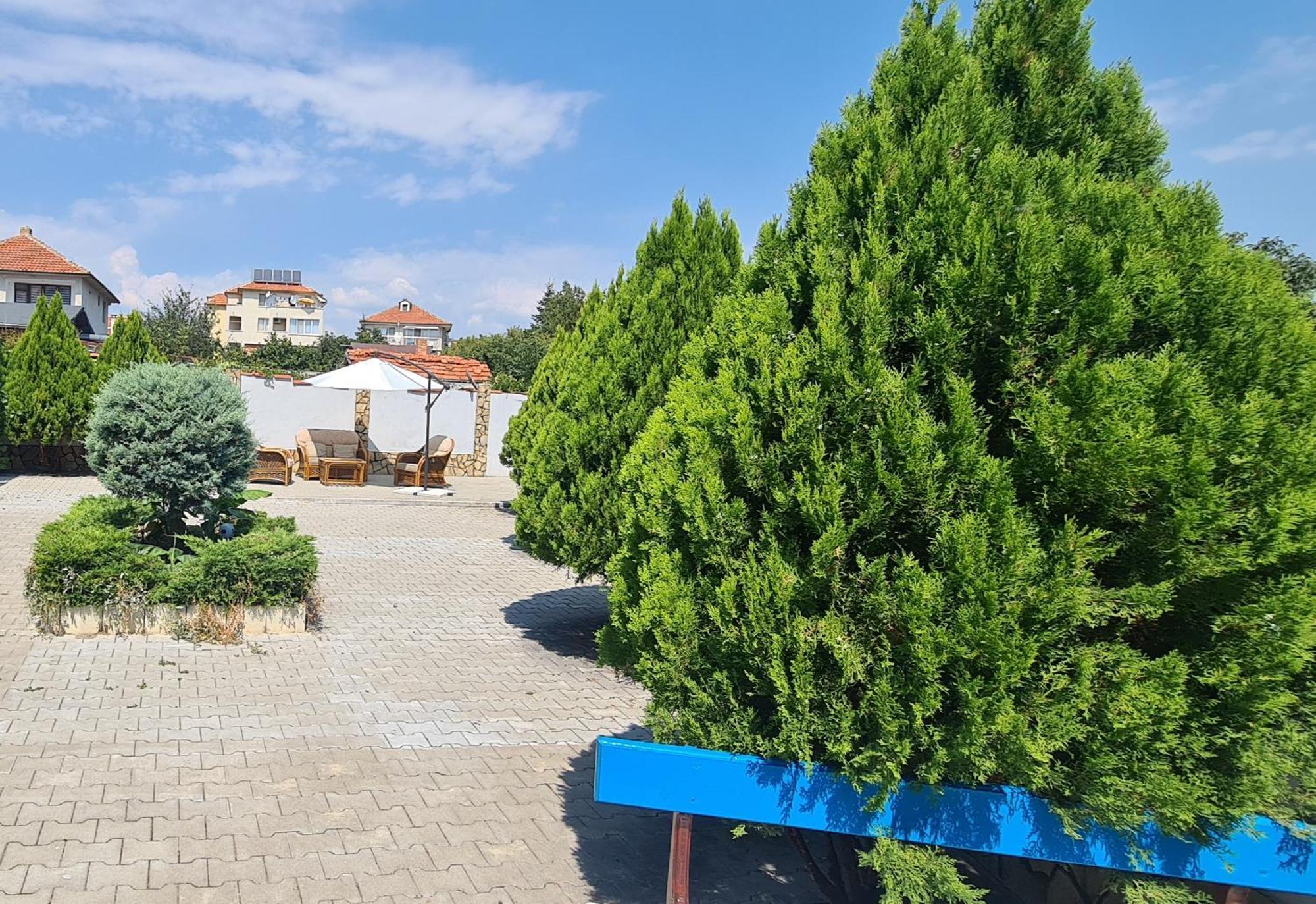 Sineva Guest House Равда Экстерьер фото